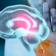 O poder do Gatilho Mental