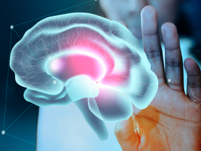 O poder do Gatilho Mental